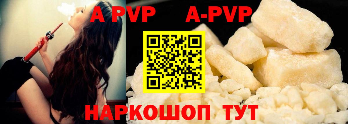 Alfa_PVP СК КРИС Великий Новгород