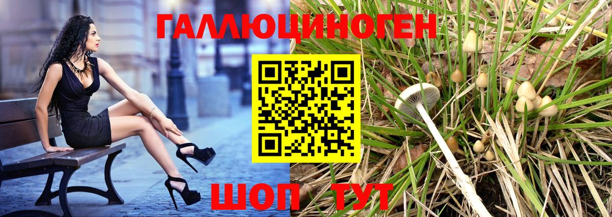 Великий Новгород  Галлюциногенные грибы прущие грибы  Вход с VPN 